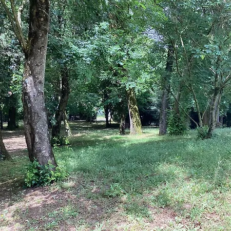 Type 2 Rue Alsace Lorraine 10mn * La Rochelle (Charente-Maritime)